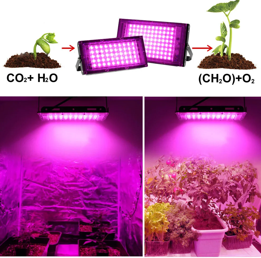 Full Spectrum LED Plant Grow Light AC220V 50/100/200/300W with switch for greenhouse hydroponic plants flower seeds growth light
