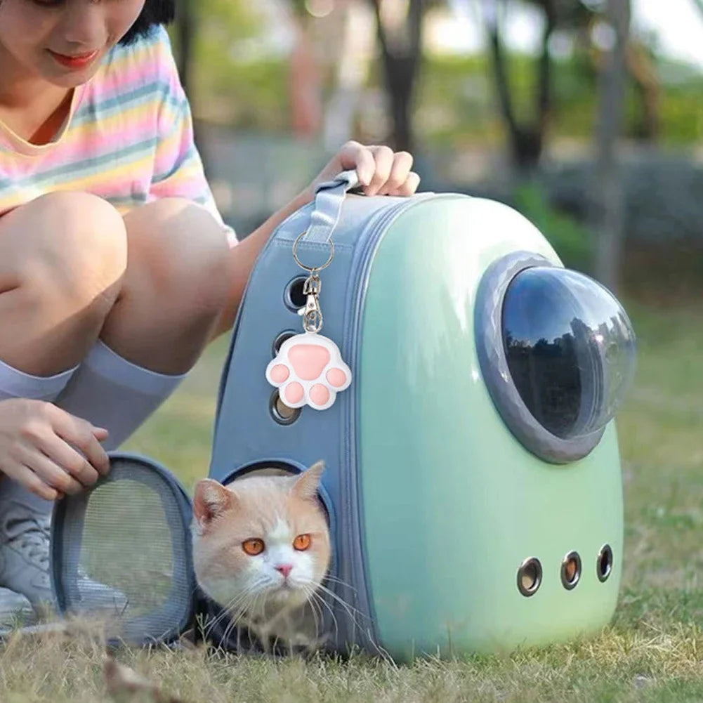 LED Cute Laser Transform Pattern Pet Cat Toys USB Rechargeable Toy Interactive Bright Animation Pointer Light Pen Training Toys