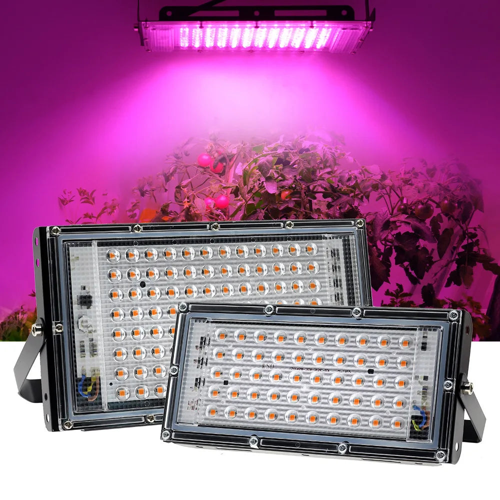 Full Spectrum LED Plant Grow Light AC220V 50/100/200/300W with switch for greenhouse hydroponic plants flower seeds growth light