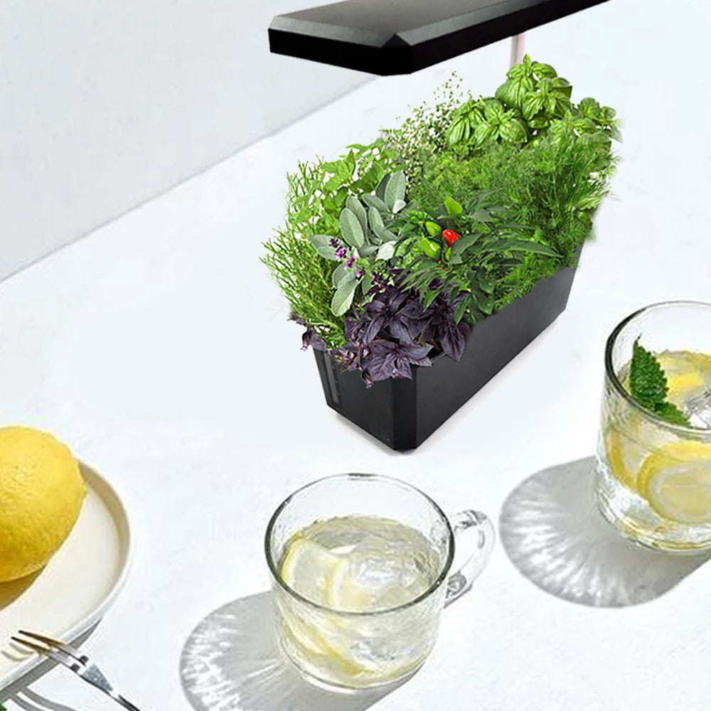 Hydroponics Growing System With Indoor Plant Full Spectrum Led Grow Light Non-toxic Soilless Smart Planting Indoor Garden