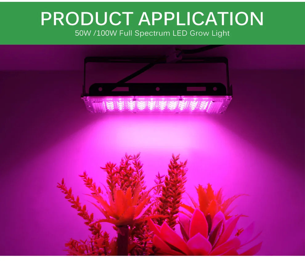 Full Spectrum LED Plant Grow Light AC220V 50/100/200/300W with switch for greenhouse hydroponic plants flower seeds growth light