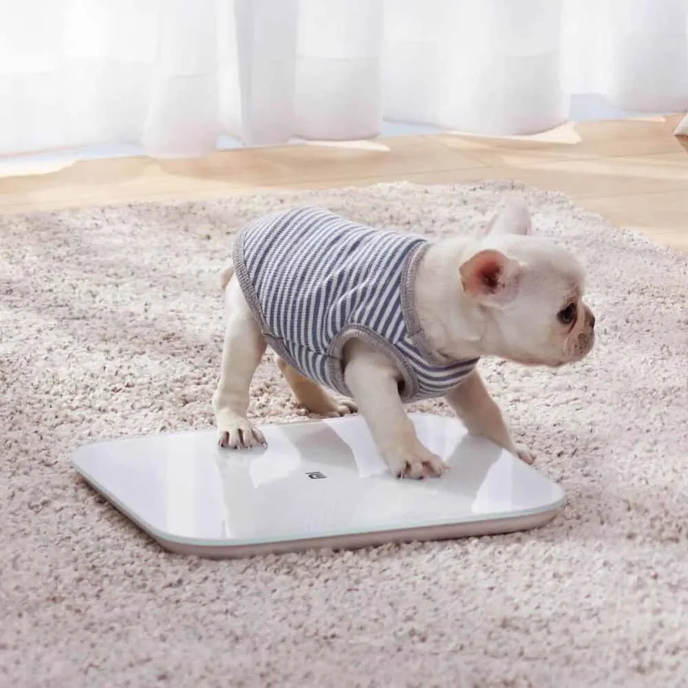 Original Xiaomi Smart Weight Scale 2.0 Health Weighting Scale Bluetooth 5.0 LED Digital Definition Share Accurate Measurement