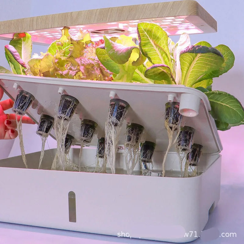 6-Plants Indoor Hydroponics System Herb Planting Pot/Black Planters Kit Led Plant Lamp Soilless Cultivation Vegetable Box