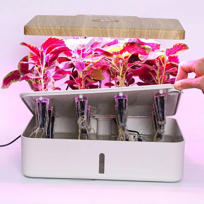 6-Plants Indoor Hydroponics System Herb Planting Pot/Black Planters Kit Led Plant Lamp Soilless Cultivation Vegetable Box