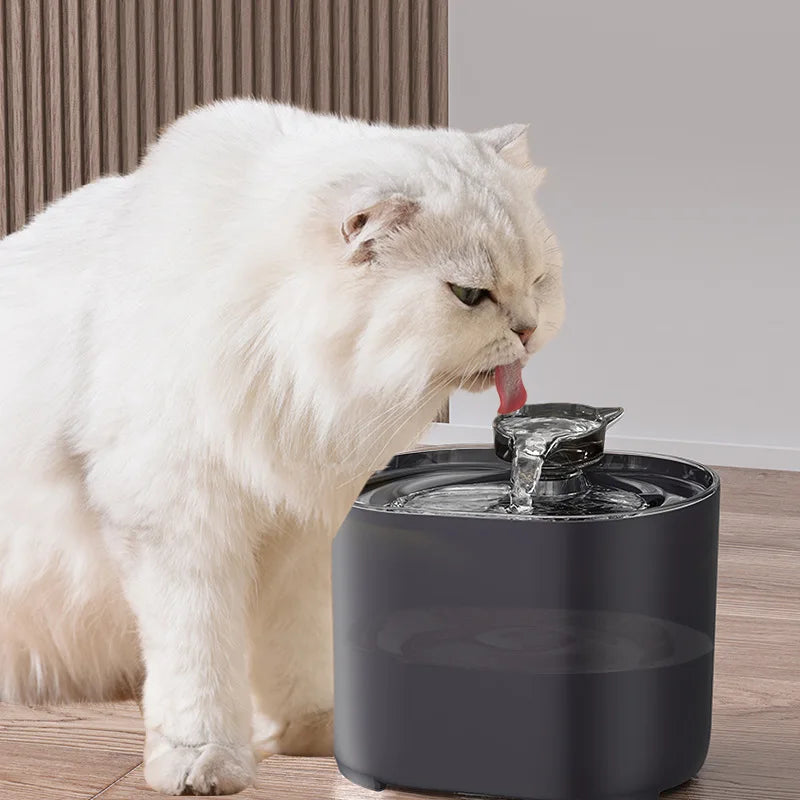 Cat Water Fountain Auto Filter USB Electric Mute Cats Dog Drinker Bowl Recirculate Filtring Drinker for Cats Pet Water Dispenser