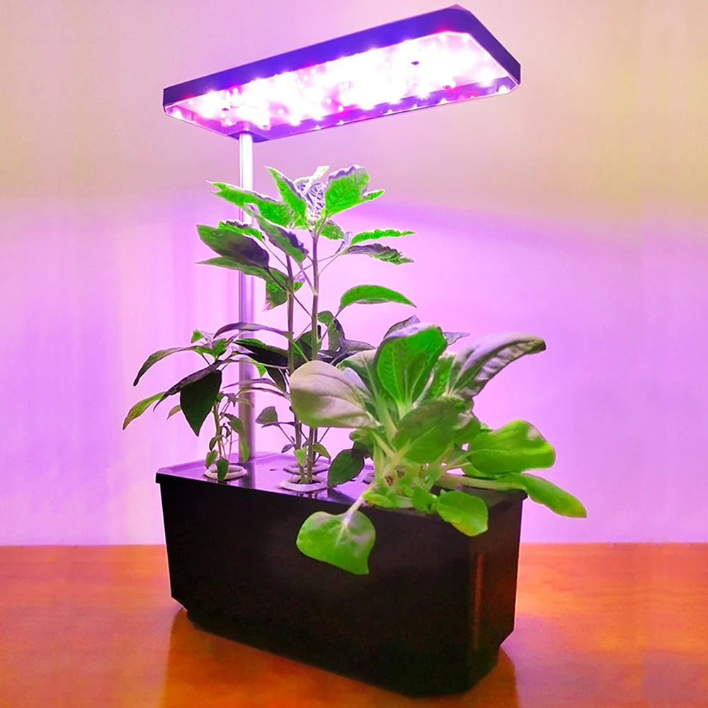 Hydroponics Growing System With Indoor Plant Full Spectrum Led Grow Light Non-toxic Soilless Smart Planting Indoor Garden