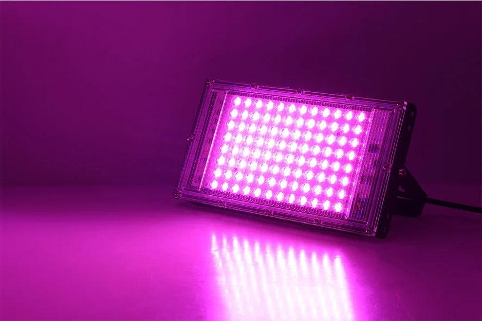 Full Spectrum LED Plant Grow Light AC220V 50/100/200/300W with switch for greenhouse hydroponic plants flower seeds growth light