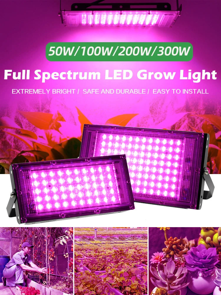 Full Spectrum LED Plant Grow Light AC220V 50/100/200/300W with switch for greenhouse hydroponic plants flower seeds growth light