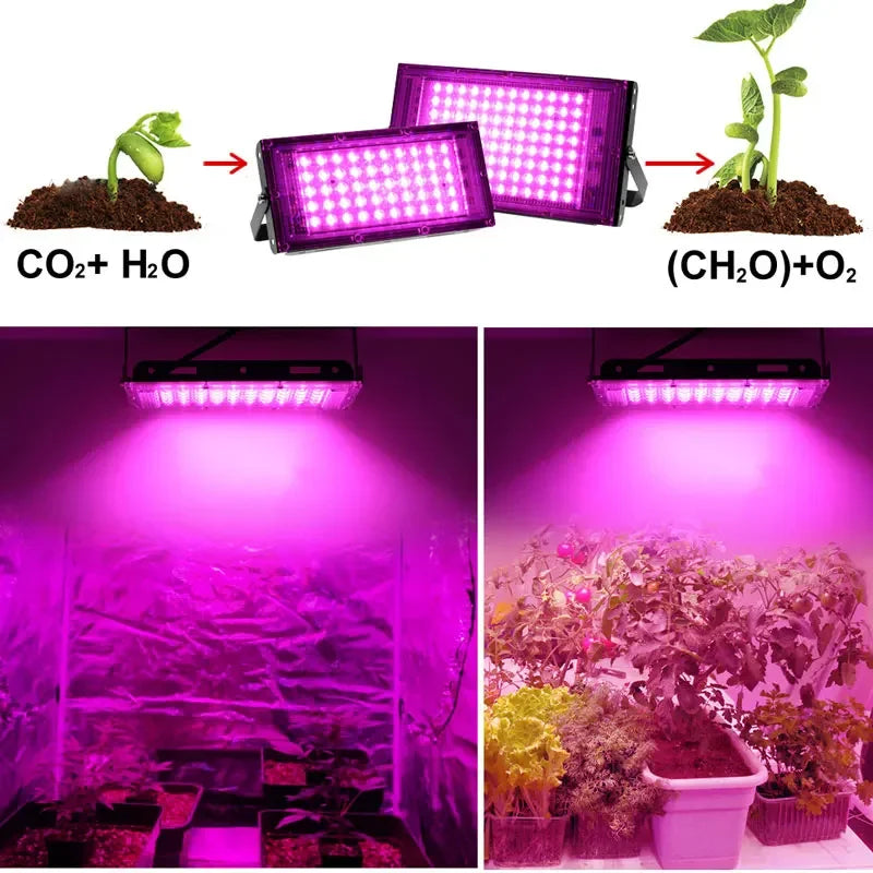 Lamp For Plants Full Spectrum Led Grow Light 220V 50W 100W 200W 300W Phyto Lamp For Greenhouse Hydroponic Plant Growth Lighting
