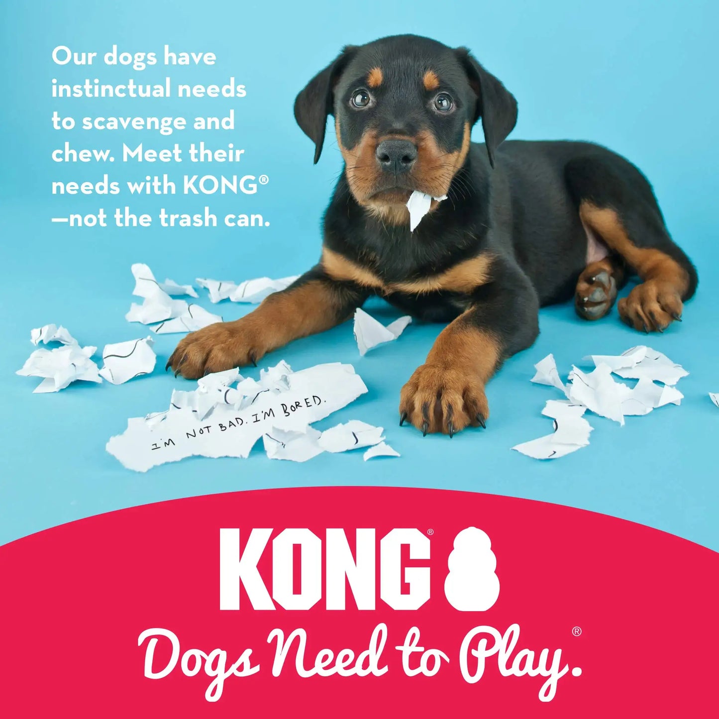 KONG Puppy - Natural Teething Rubber Chew Toy for Dogs - Stuffable Dog Toy for Extended Playtime - Chew & Fetch Toy for Puppies