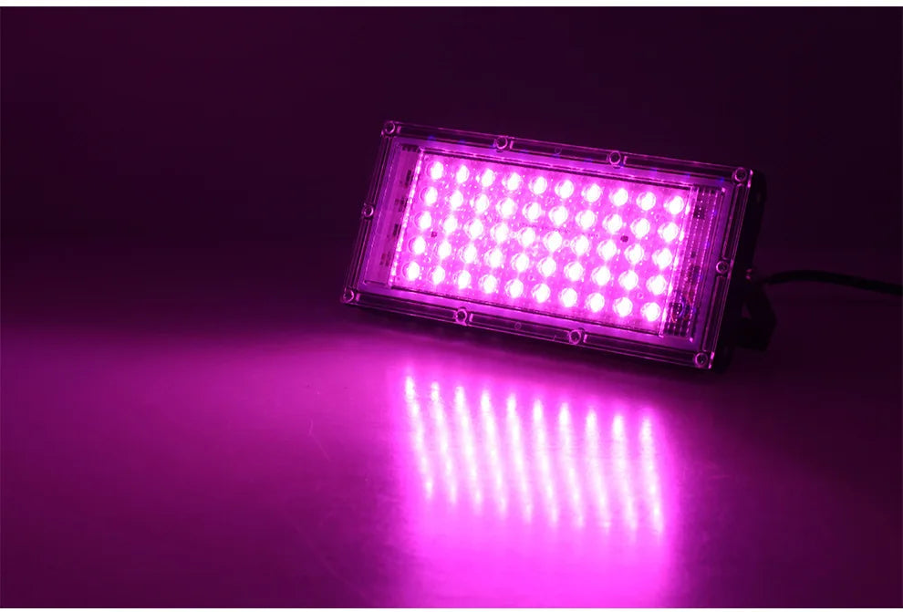 Full Spectrum LED Plant Grow Light AC220V 50/100/200/300W with switch for greenhouse hydroponic plants flower seeds growth light