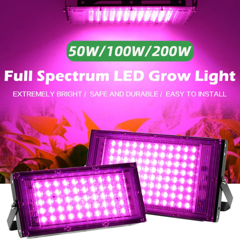Full Spectrum LED Plant Grow Light AC220V 50/100/200/300W with switch for greenhouse hydroponic plants flower seeds growth light