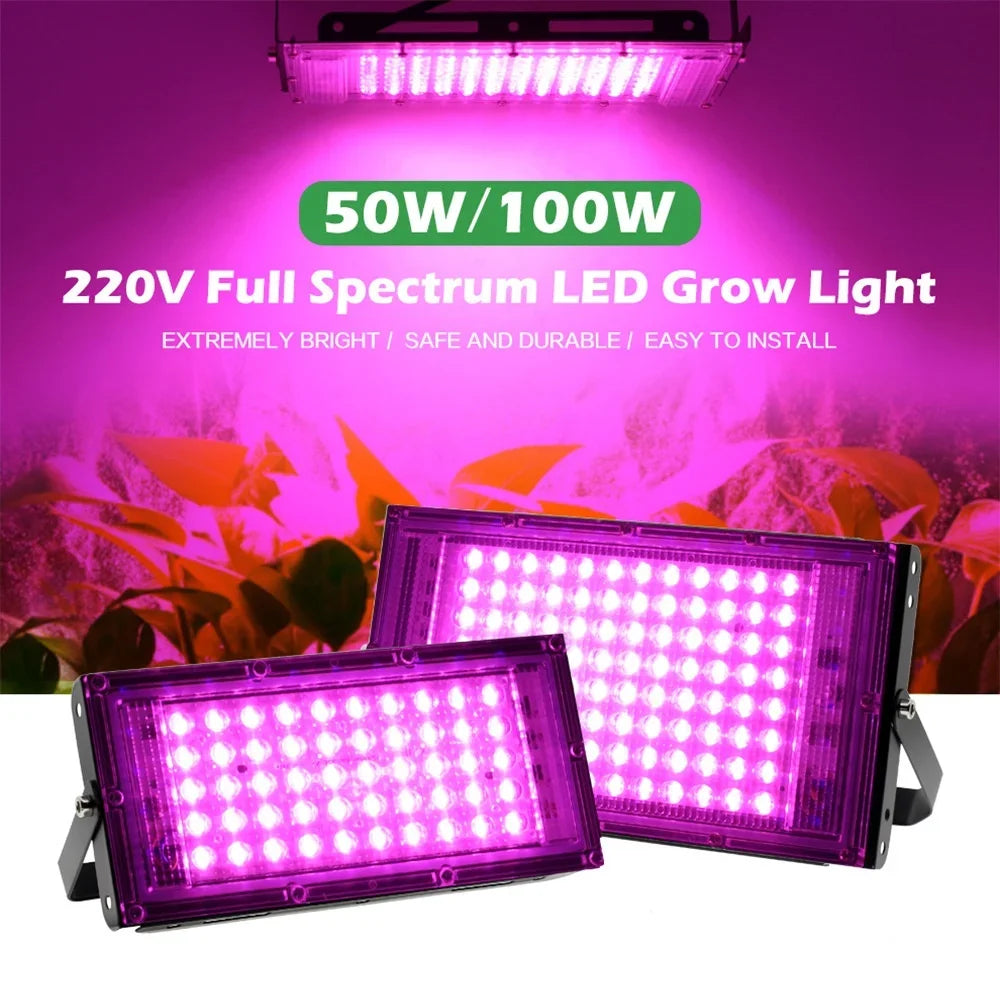 Lamp For Plants Full Spectrum Led Grow Light 220V 50W 100W 200W 300W Phyto Lamp For Greenhouse Hydroponic Plant Growth Lighting