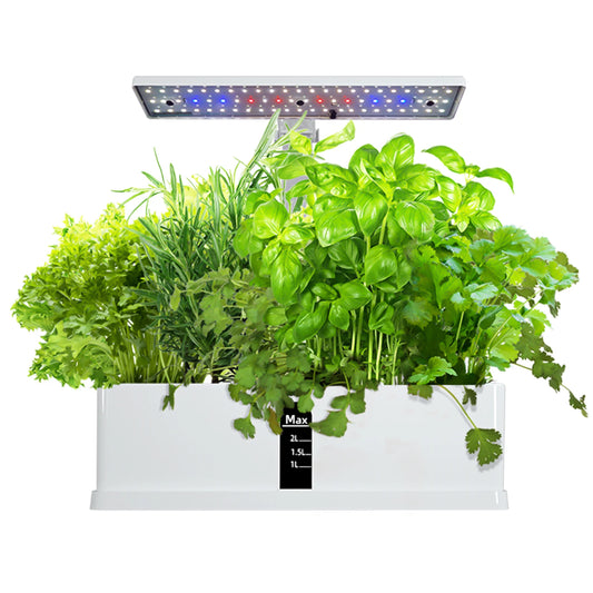Garden Hydroponics Growing System Indoor Herb Garden Kit Automatic Timing LED Grow Lights Smart Water Pump for Home Flower Pots